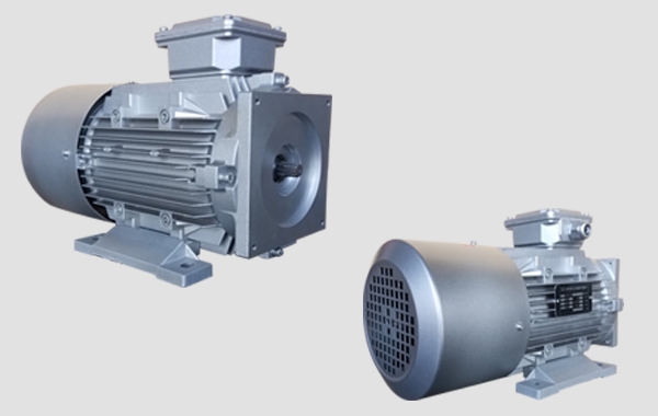 AC MOTOR